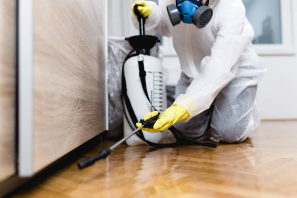 Best Cockroach Control Services  in Cambridge, IL