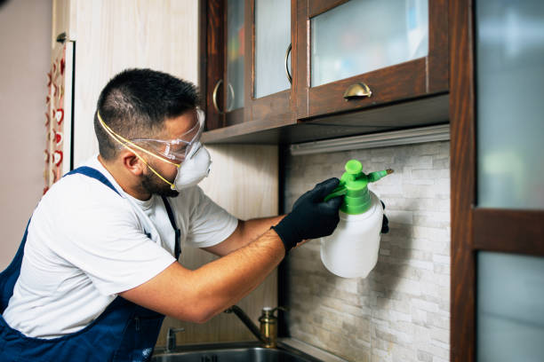 Best Best Pest Control Companies  in Cambridge, IL