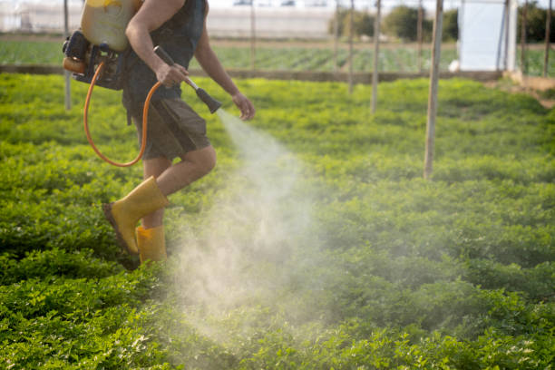 Best Pest Inspection Near Me  in Cambridge, IL