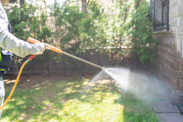 Pest Prevention Services in Cambridge, IL