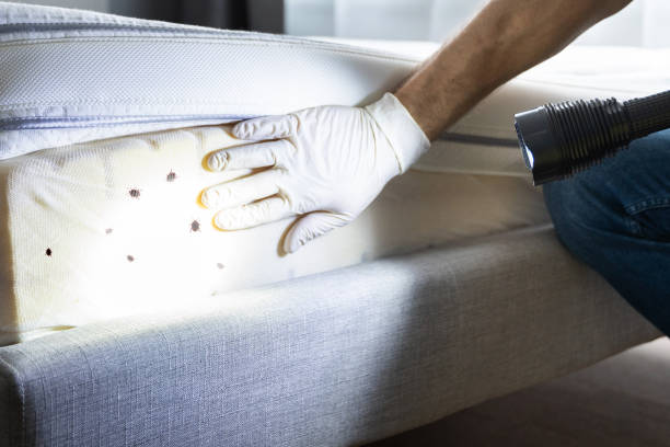Best Emergency Pest Control  in Cambridge, IL
