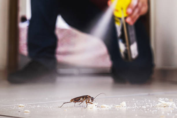 Best Commercial Pest Control Services  in Cambridge, IL