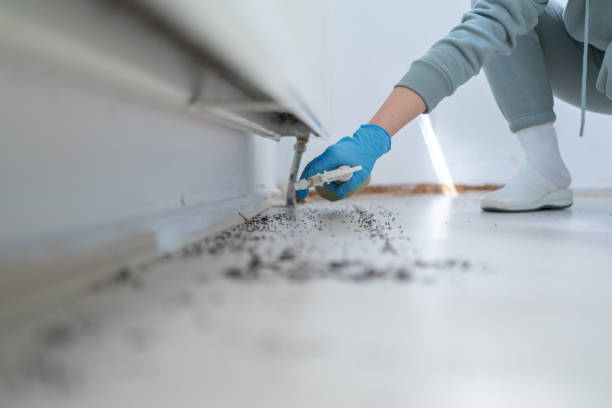 Best Bed Bug Extermination  in Cambridge, IL